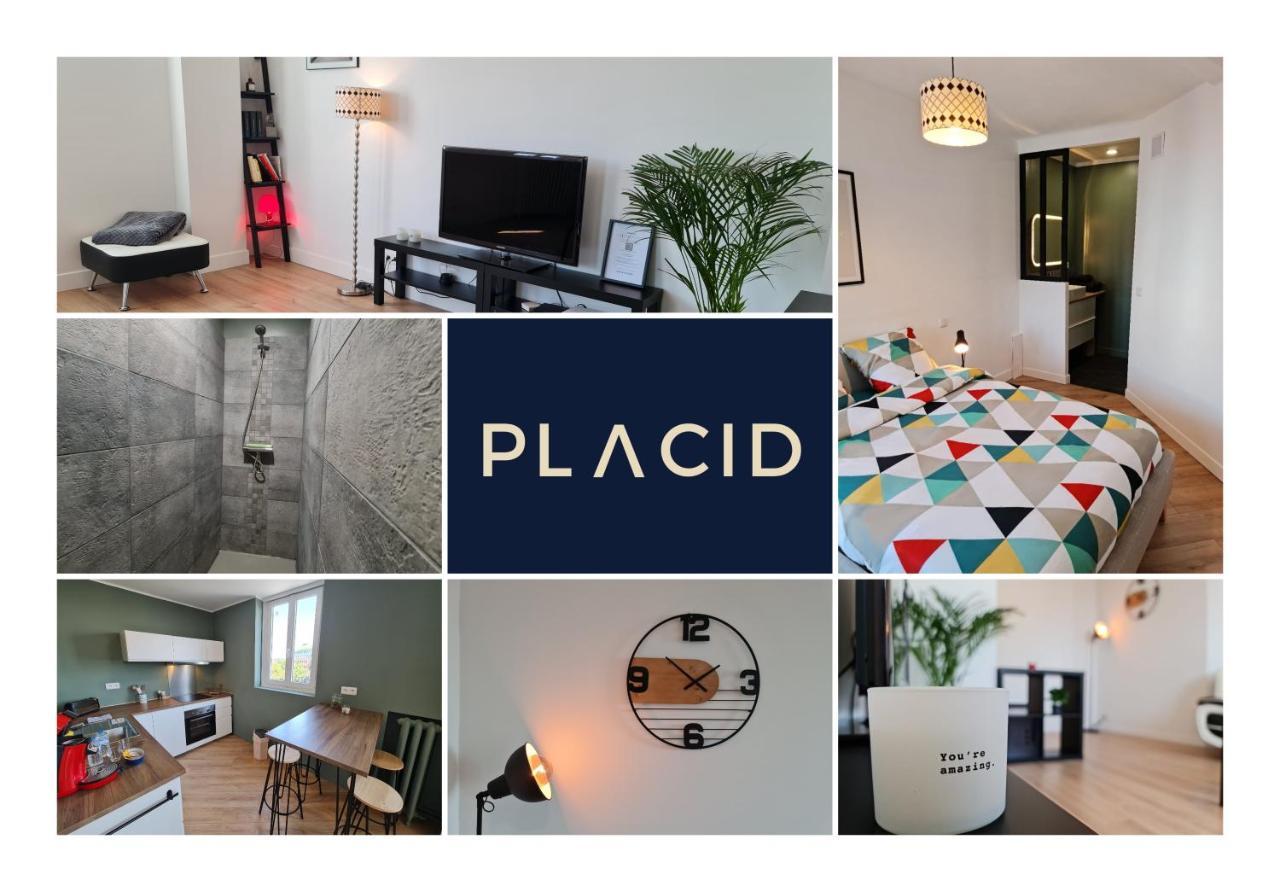Le Scottmanhouse - Appartement Prive - Centre Ville - Gare - Wi-Fi أراس المظهر الخارجي الصورة